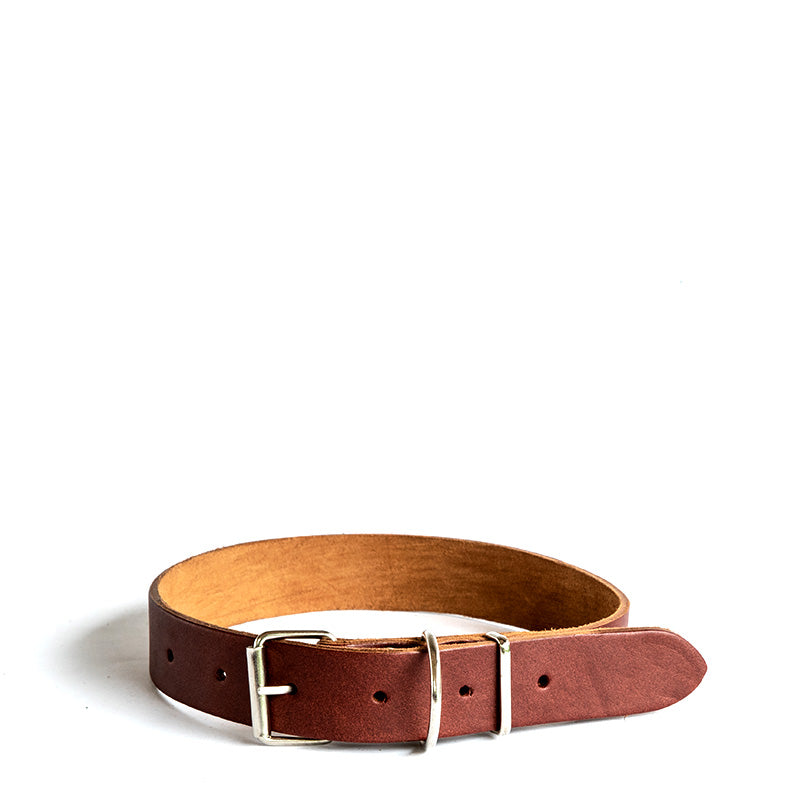 Dog Collars