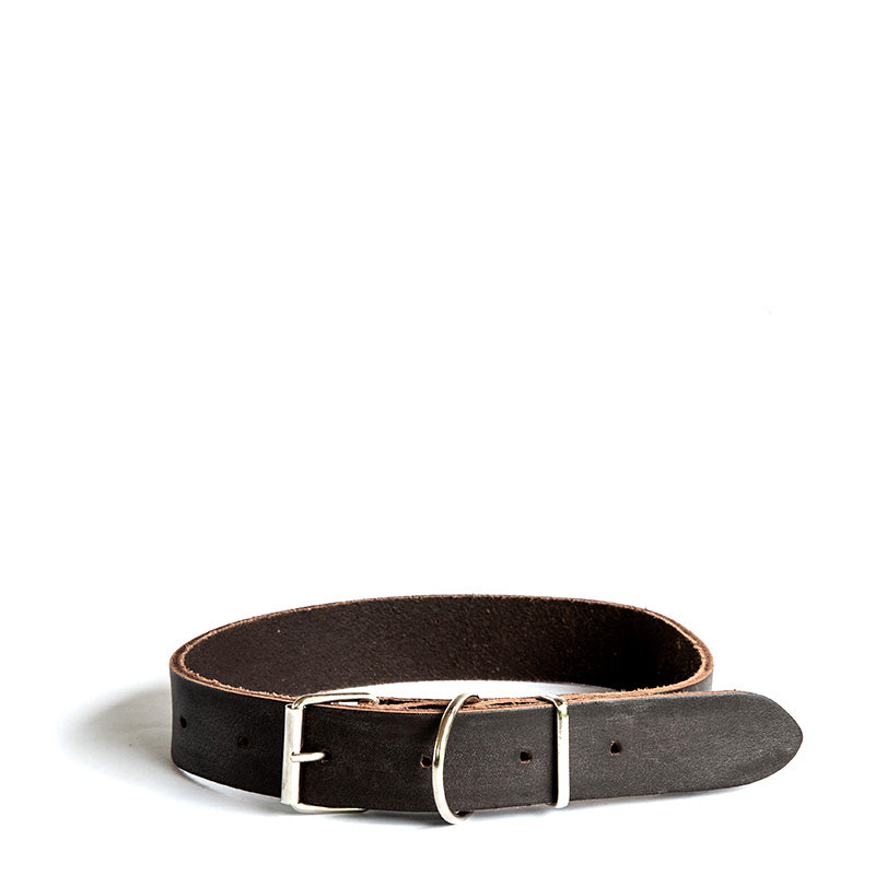 Dog Collars