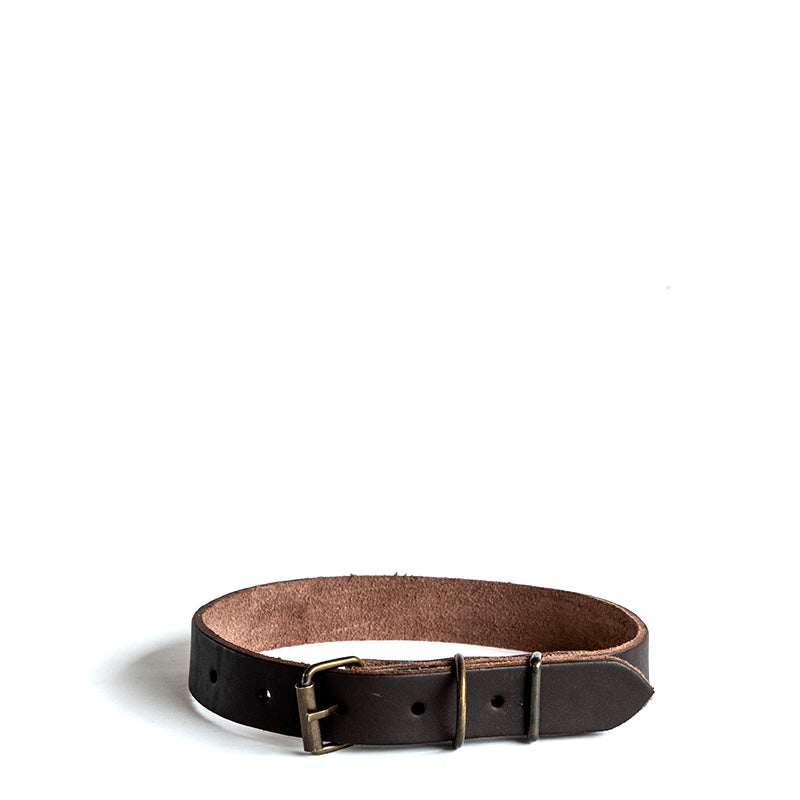 Dog Collars