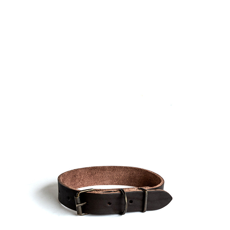 Dog Collars