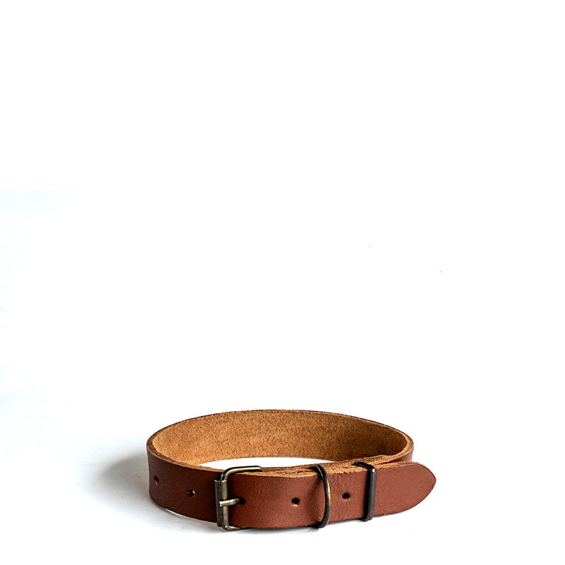 Dog Collars