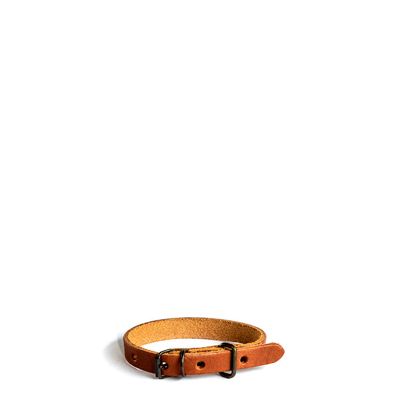 Dog Collars