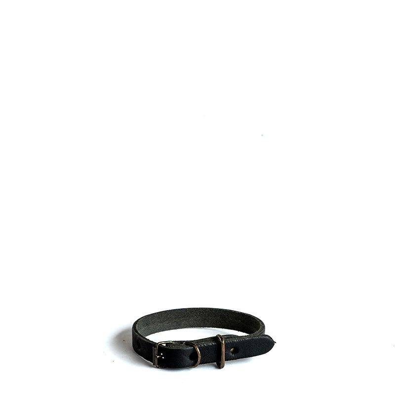 Dog Collars