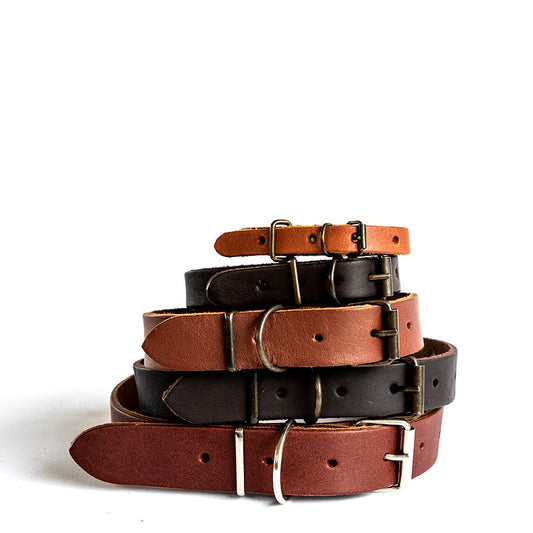 Dog Collars