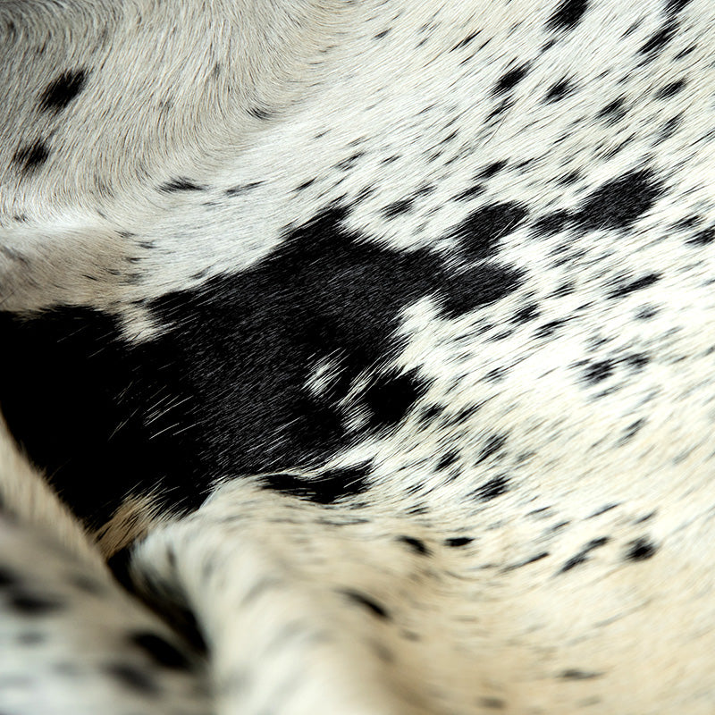 Nguni Skin