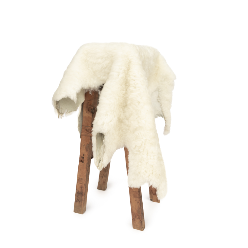 1st Grade Sheepskin