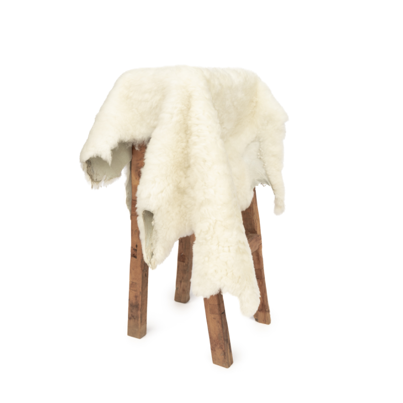 1st Grade Sheepskin
