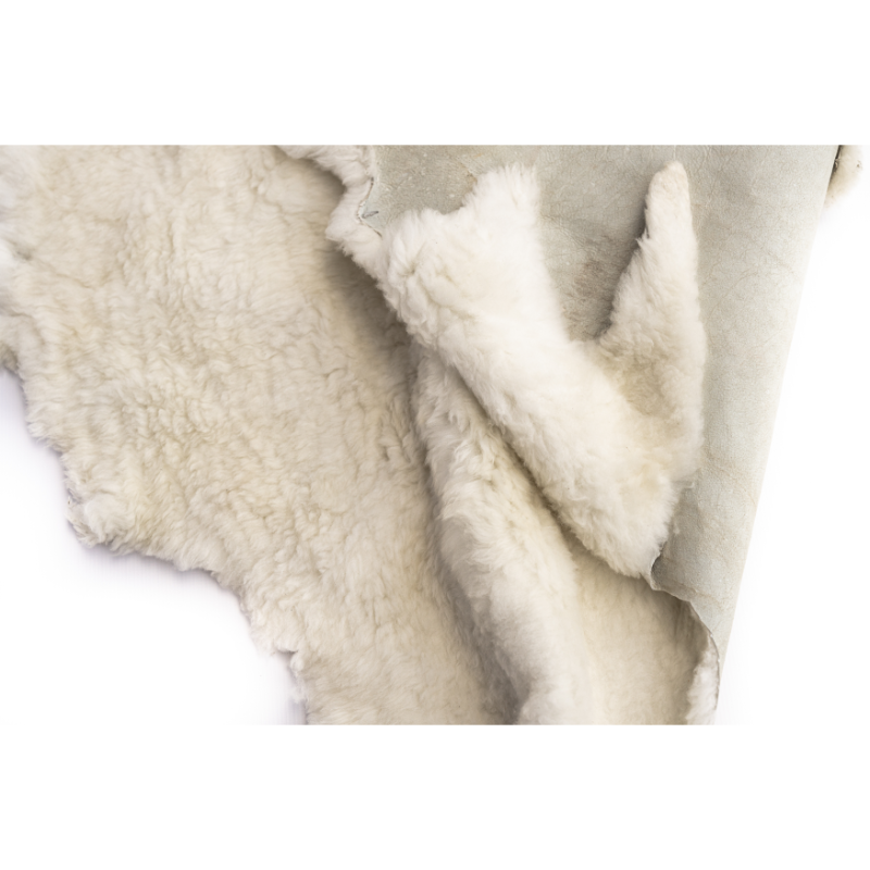 1st Grade Sheepskin